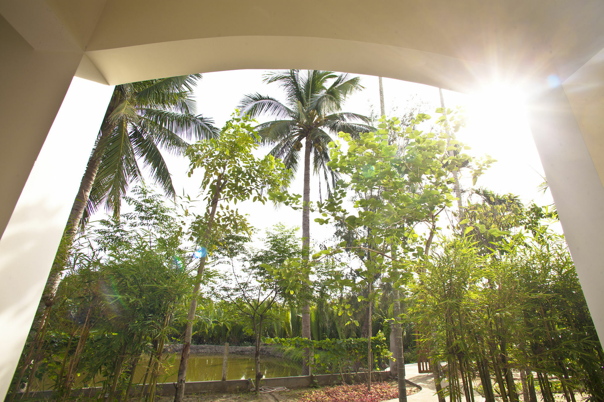 הוי אן Palm View Villa מראה חיצוני תמונה